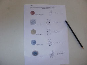 Foto de atividade de alunos em que foi calculado o comprimento de circunferncias.