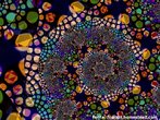 Hoje existem diferentes definies para o termo "fractal". Contudo, todas esto fundadas pela noo introduzida, primeiramente, por Benot Mandelbrot. Segundo ele, a palavra "fractal" foi cunhada a partir do adjetivo em latim "fractus", que pode significar tanto "quebrado", "partido", como tambm "irregular". Os fractais so constitudos por formas geomtricas abstratas formadas a partir de padres complexos repetidos infinitamente, mesmo limitados por uma rea finita. Esses padres so gerados a partir de funes reais ou complexas que, aplicadas de forma interativa, produzem resultados impressionantes, considerados por muitos de uma beleza incrvel, como nesta imagem. 