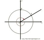 Crculo Trigonomtrico