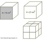 Qual a medida do volume de cada cubinho? 