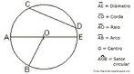 Elementos da Circunferncia