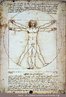 Homem Vitruviano  um desenho de Leonardo da Vinci e faz parte da coleo da Gallerie dell'Accademia (Galeria da Academia) localizada em Veneza na Itlia. O Homem Vitruviano  um desenho famoso que acompanhava as notas que Leonardo da Vinci fez por volta do ano 1490 num dos seus dirios. Descreve uma figura masculina desnuda separadamente e simultaneamente em duas posies sobrepostas com os braos inscritos numa circunferncia e num quadrado. A cabea  calculada como sendo um oitavo da altura total.