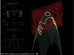 A imagem mostra a interseo de um parabolide com uma superfcie que  obtida girando-se o grfico de f(x)=sen(x). Pode-se visualizar tambm o domnio das funes que representam as superfcies. Utilizar como ferramenta de ilustrao do contedo de geometria e topologia. 