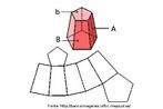 Representao espacial e da planificao de um tronco de pirmide de base pentagonal. 