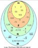 Imagem ilustrativa da relao entre os conjuntos numricos por meio do diagrama de Venn. 