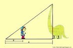 Qual a altura do dinossauro? Dica: para resolver use semelhana de tringulos. 2/6=1,6/x. x=altura do dinossauro. 